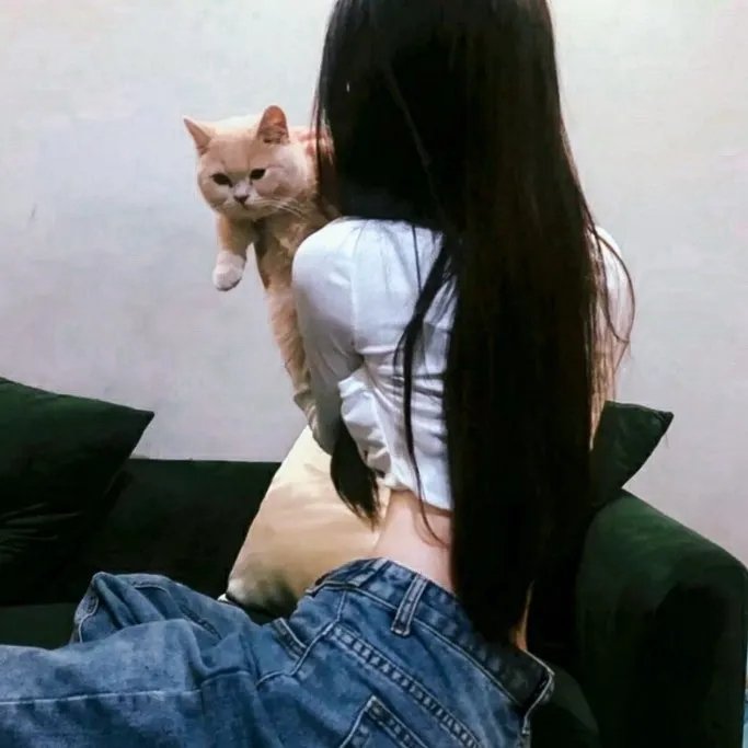 婚词离曲第三季